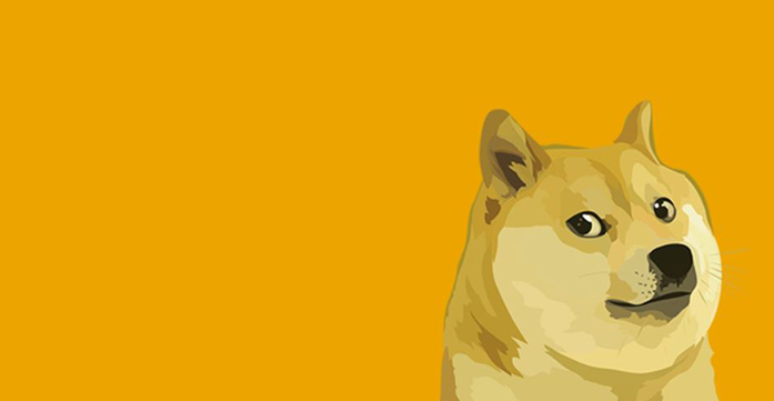 What is Dogecoin for Dummies | Dogecoin Review - Albert Fang